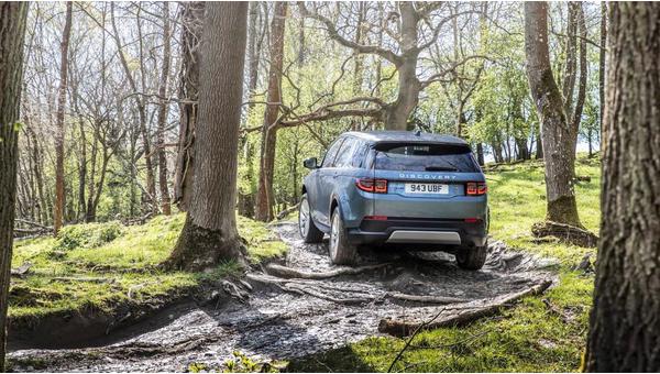land-rover-discovery-sport (17).jpg