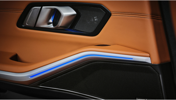 bmw_330li_luxury_line_7.jpg