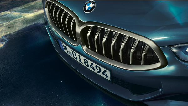 bmw-8-serisi-coupe (6).jpg