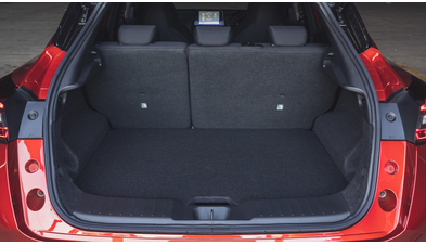 nissan_juke_127.jpg