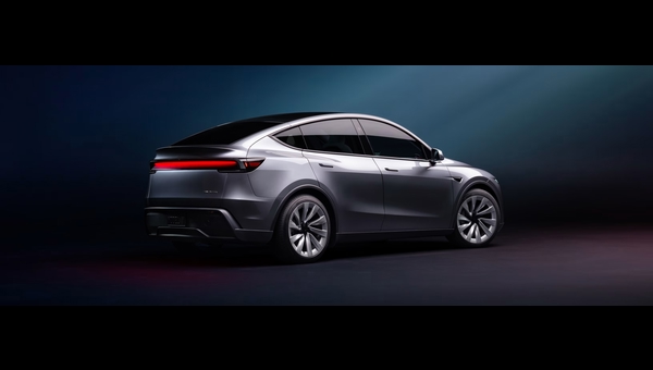 model y yan
