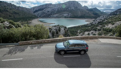 skoda-kodiaq (23).jpg