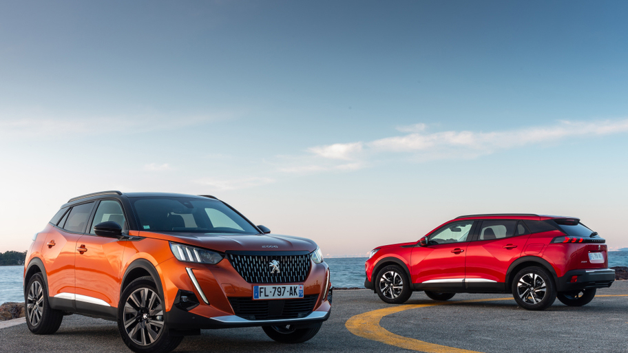 peugeot_2008_154_0176006612050c5a.jpg