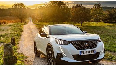 peugeot-2008 (24).jpg