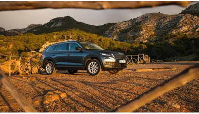 skoda-kodiaq (13).jpg