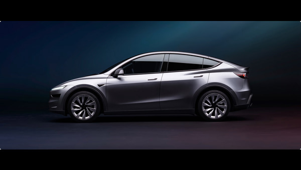model y yan