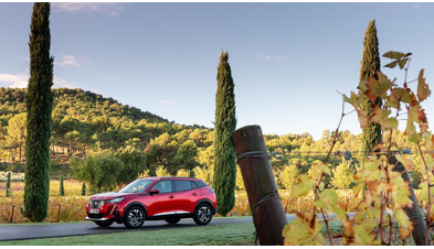 peugeot-2008 (22).jpg